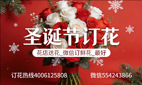 ̨�ݽ���������